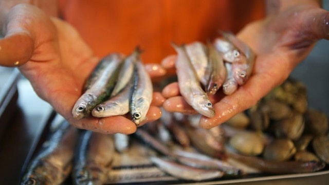 Ilyen is van: halászok, akik egy közösséget etetnek