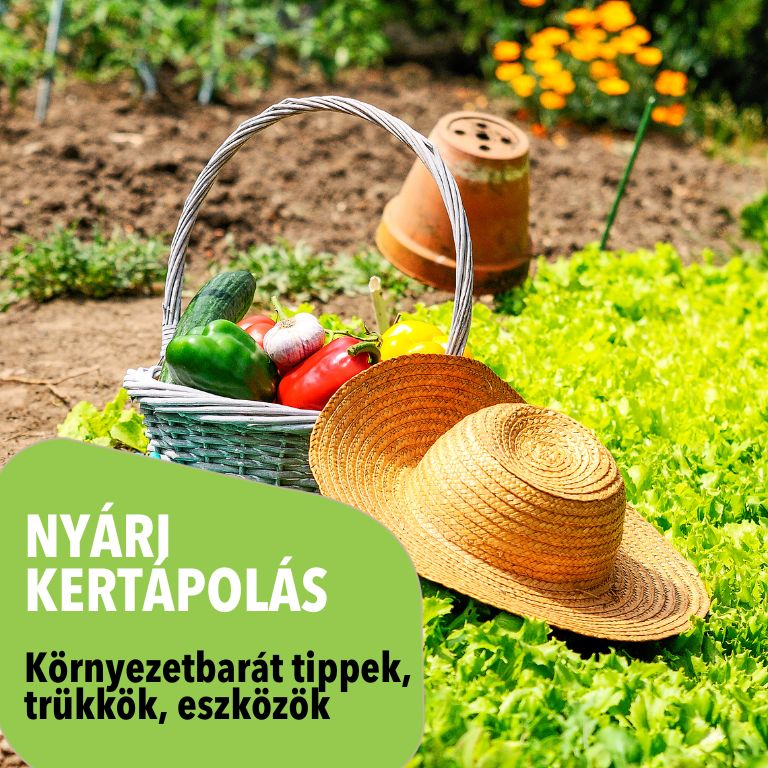 Kertápolási Trükkök - Így gondozd nyáron a növényeidet!