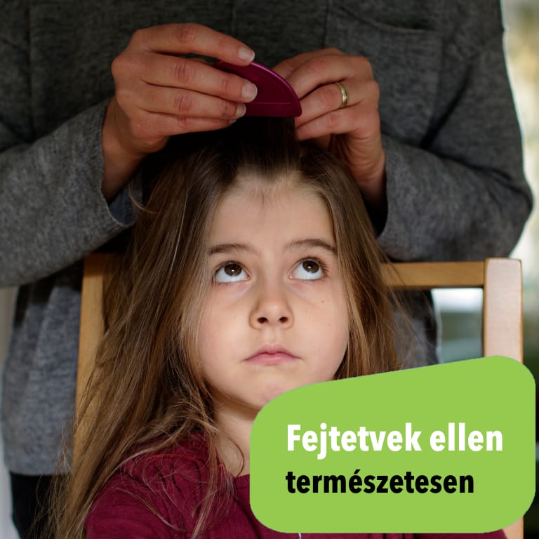 Fejtetvek ellen természetesen - Zöldbolt cikk