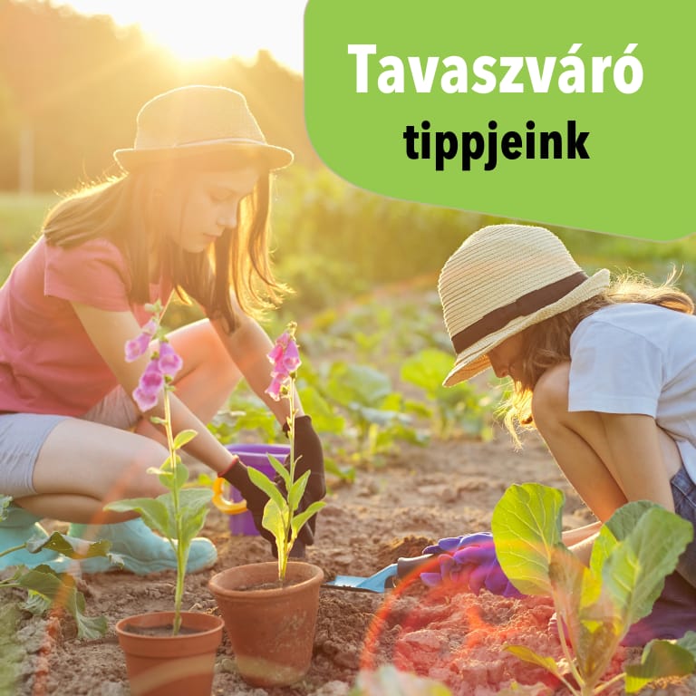 Tavaszváró tippek kertbarátoknak és balkonkertészeknek