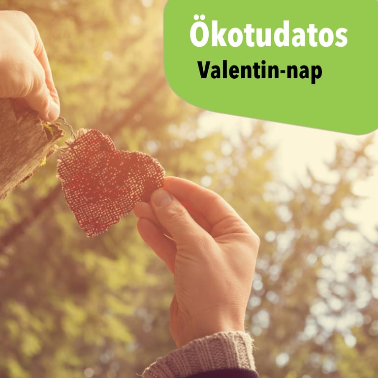 Környezettudatos Valentin-nap – 12 egyszerű és fenntartható ötlet